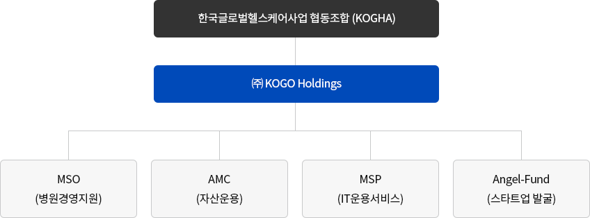한국글로벌헬스케어사업 협동조합(KOGHA) 산하 전개 사업
